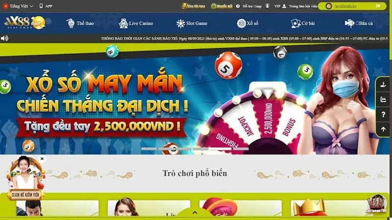 Nền tảng cá cược trực tuyến sở hữu kho game phong phú